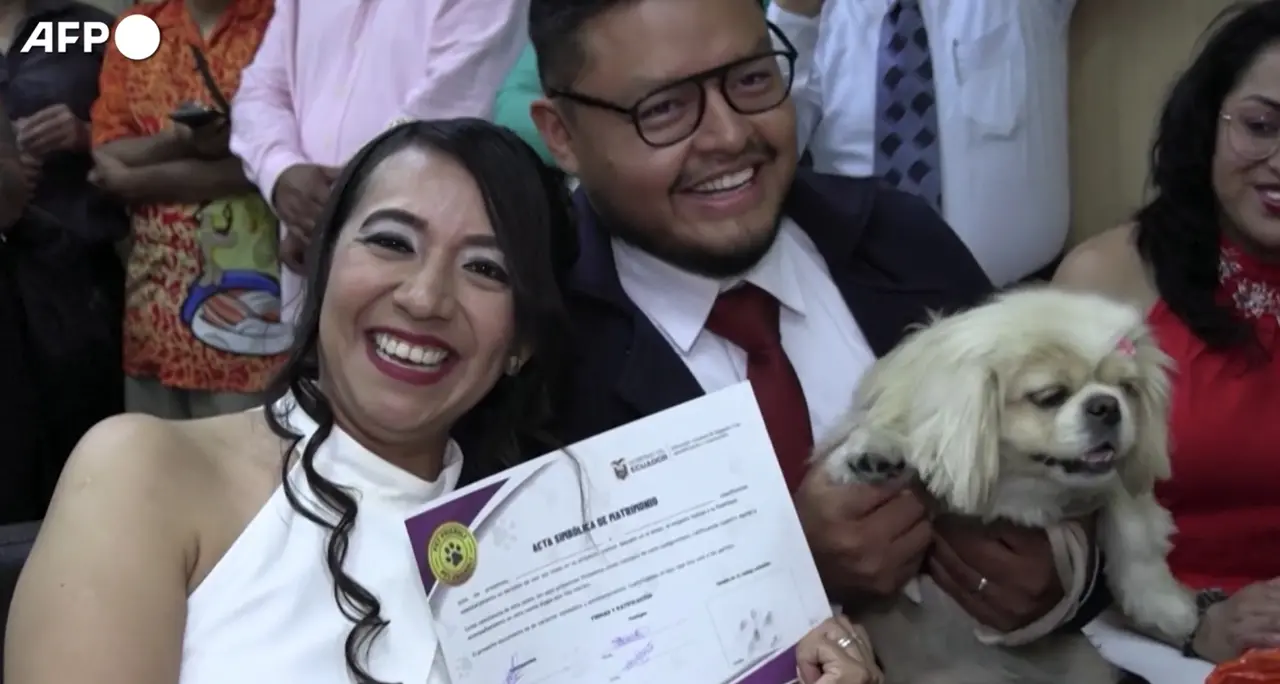 Ecuador, gli animali domestici diventano testimoni ai matrimoni