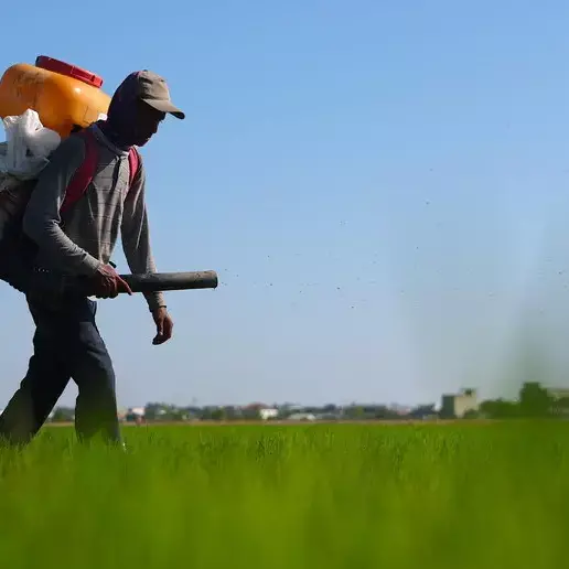 Ue, aiuti agli agricoltori per il caro fertilizzanti