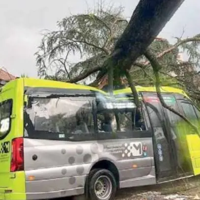 Maltempo, paura per un albero caduto su un autobus Sasa a Nalles