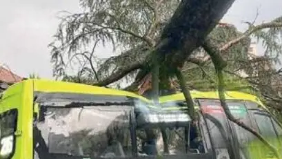 Maltempo, paura per un albero caduto su un autobus Sasa a Nalles