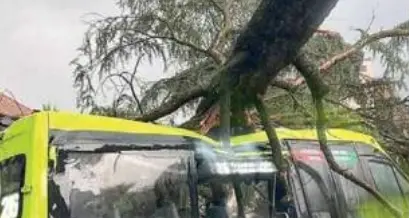 Maltempo, paura per un albero caduto su un autobus Sasa a Nalles