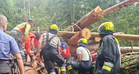 Molini di Tures, ferito durante lavori boschivi: grave settantenne