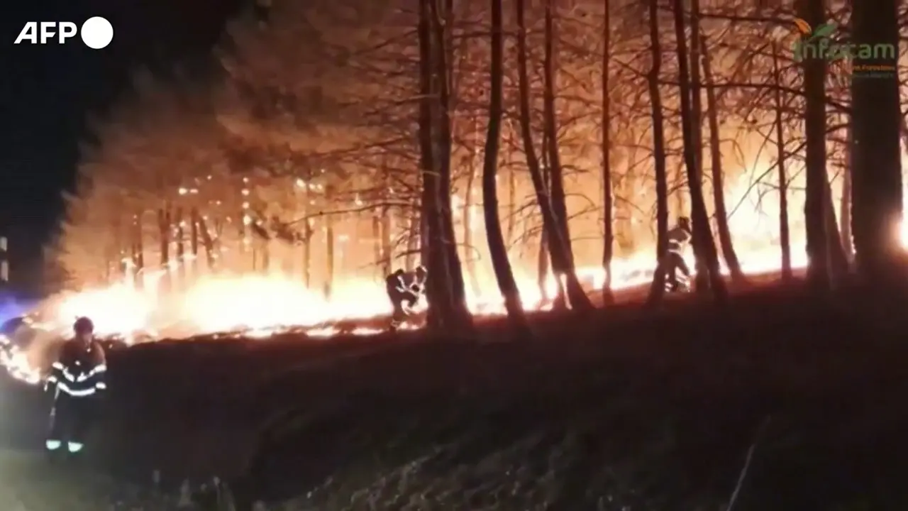 Maxi incendi in Spagna, in azione esercito e vigili del fuoco
