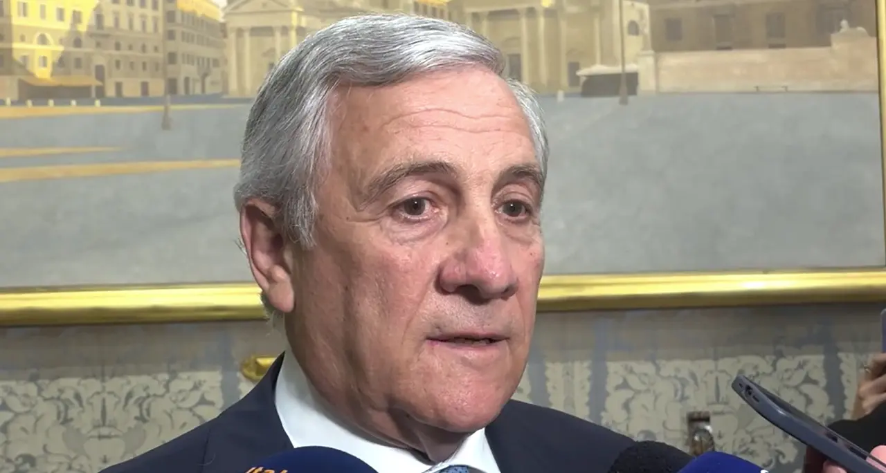 Roggero, Tajani: \"E' colpevole, ma merita il perdono\"