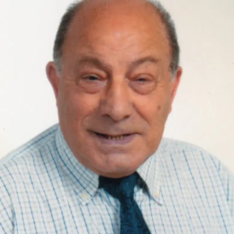 LUIGI  MERCURIO