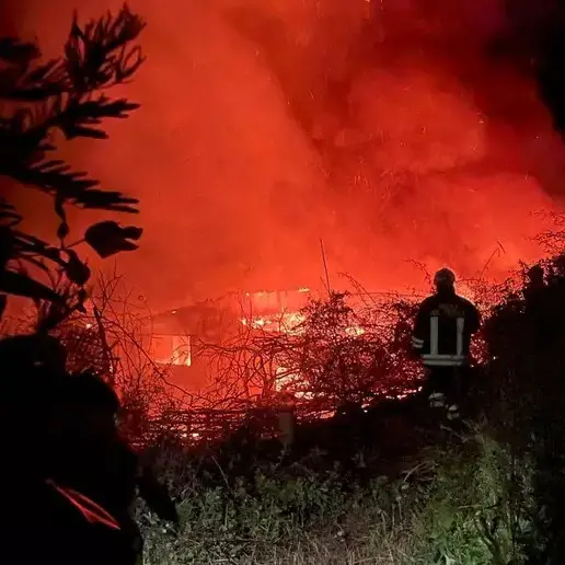 Appiccano incendi legando stracci imbevuti di benzina alle code dei gatti