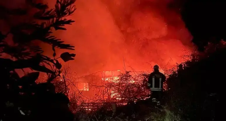 Appiccano incendi legando stracci imbevuti di benzina alle code dei gatti