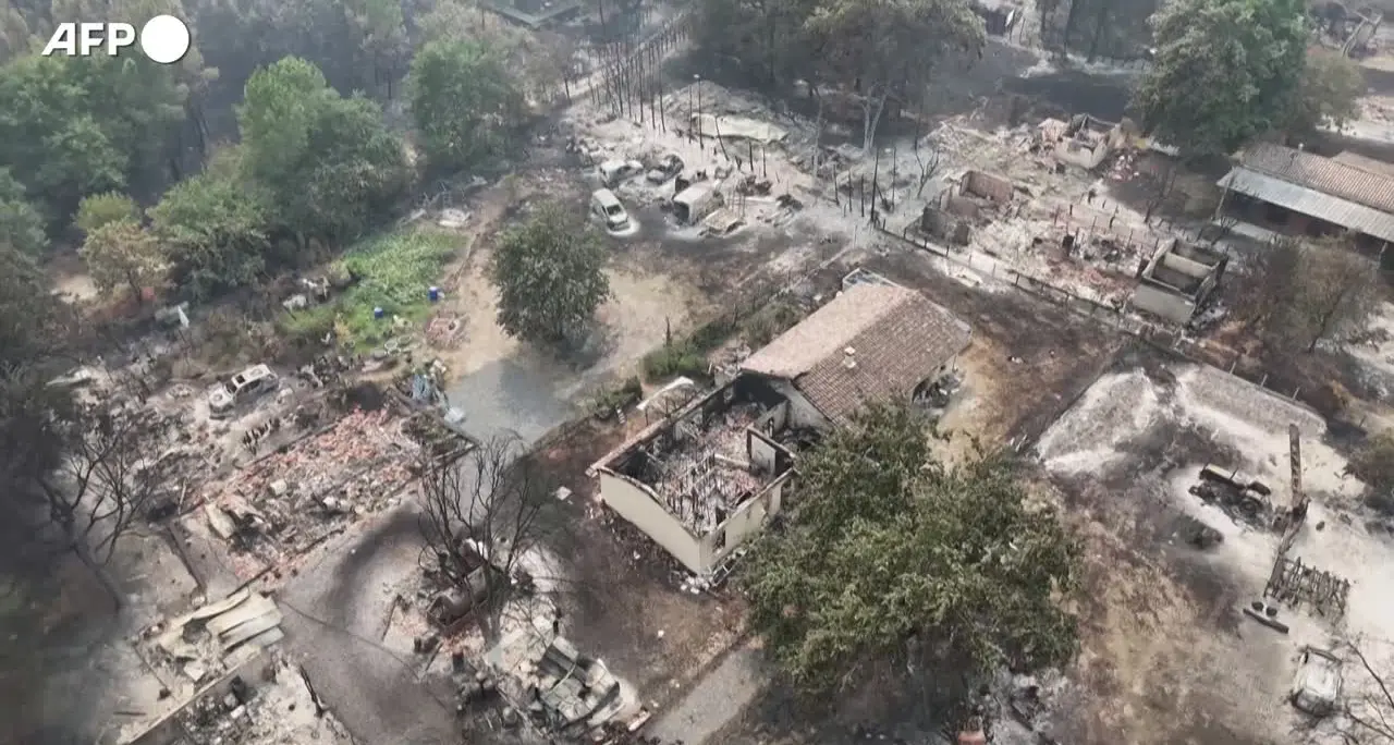 La cittadina francese di Le Porge devastata dagli incendi