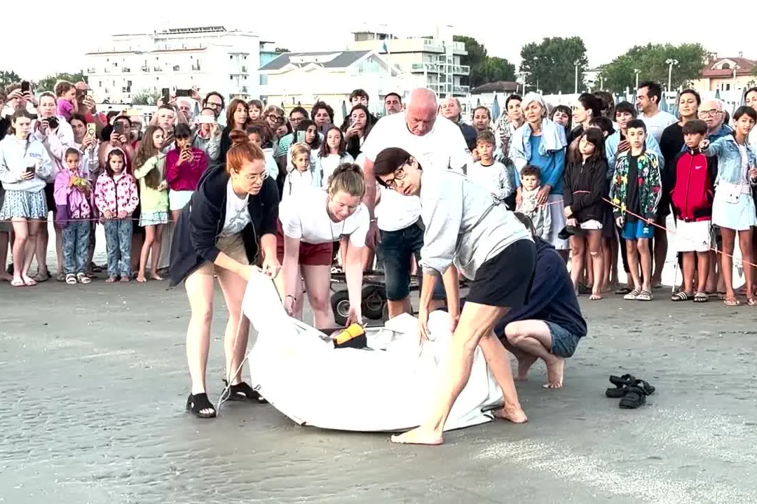 Riccione, la tartaruga Nancy torna in mare tra gli applausi di cittadini e turisti