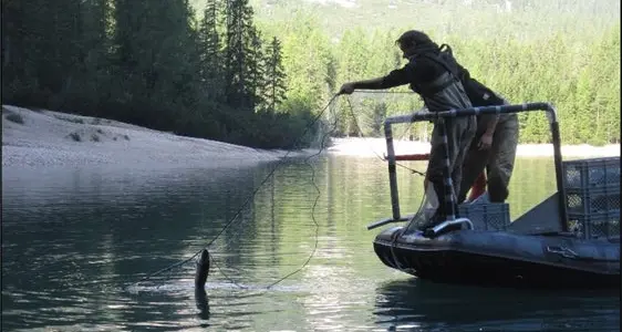 Lago di Braies, al via il monitoraggio ittico