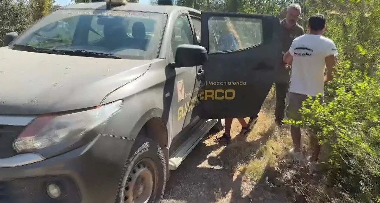 Amo da pesca conficcato nella bocca, salvata giovane tartaruga