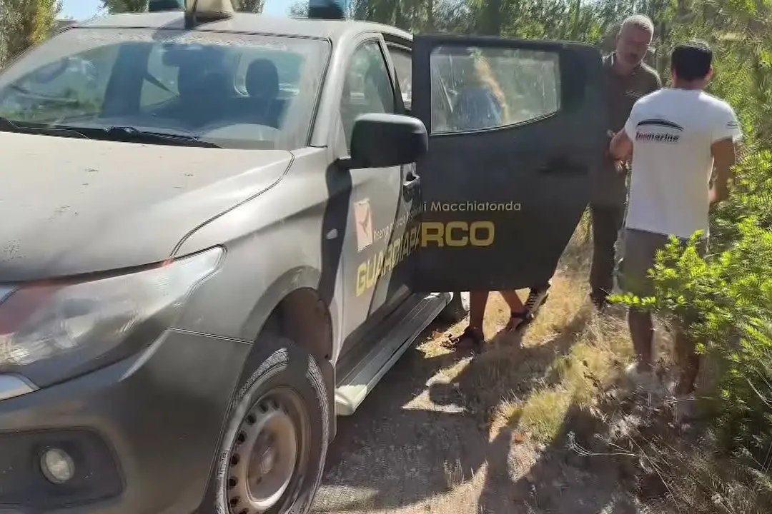 Amo da pesca conficcato nella bocca, salvata giovane tartaruga