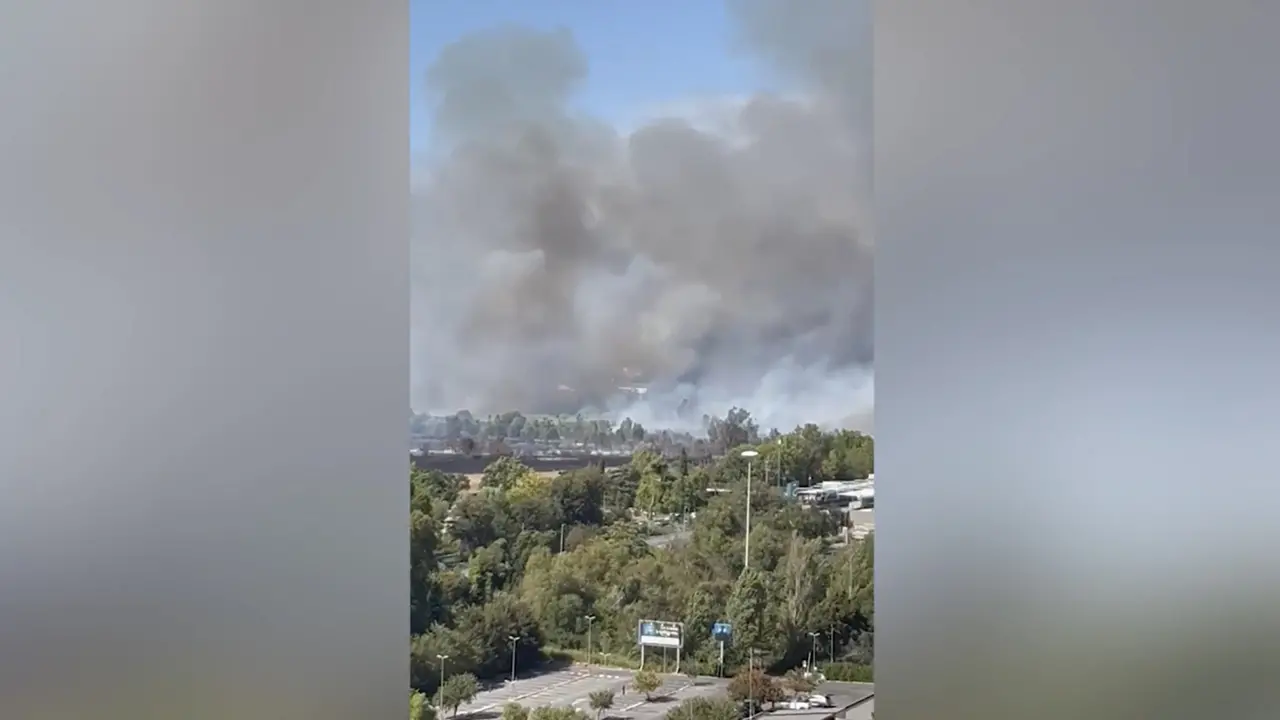 Maxi-rogo di sterpaglie a Roma, cenere anche in centro