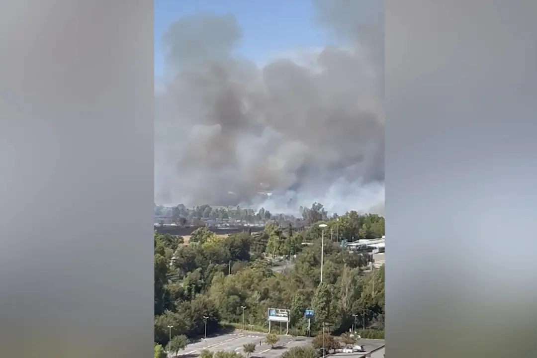 Maxi-rogo di sterpaglie a Roma, cenere anche in centro