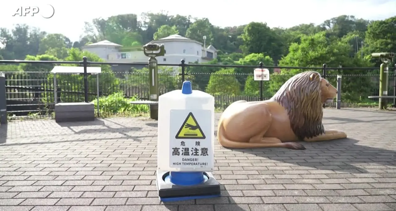Caldo record a Tokyo, morti tre leoni dello zoo di Tama