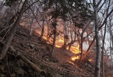 Alto Adige, cresce il rischio incendi: allerta arancione