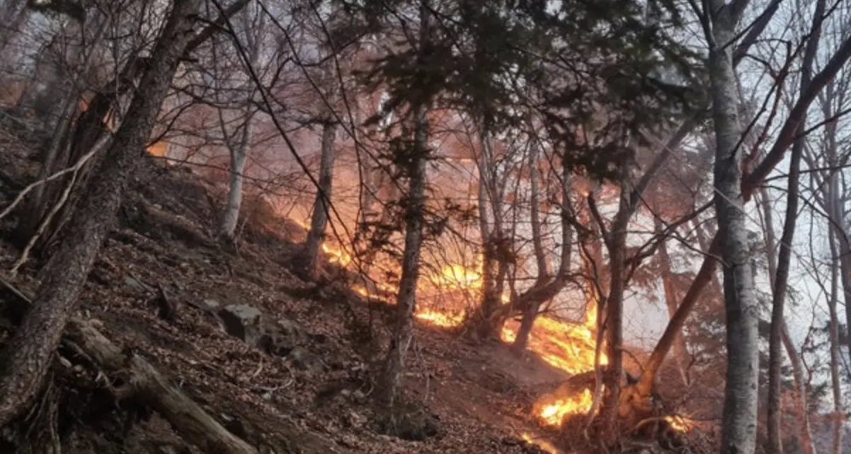 Alto Adige, cresce il rischio incendi: allerta arancione