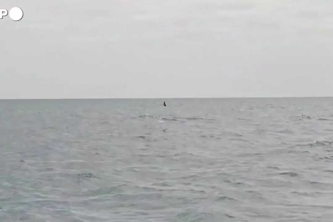 Thailandia, famiglia francese salvata dopo 16 ore alla deriva al largo di un'isola