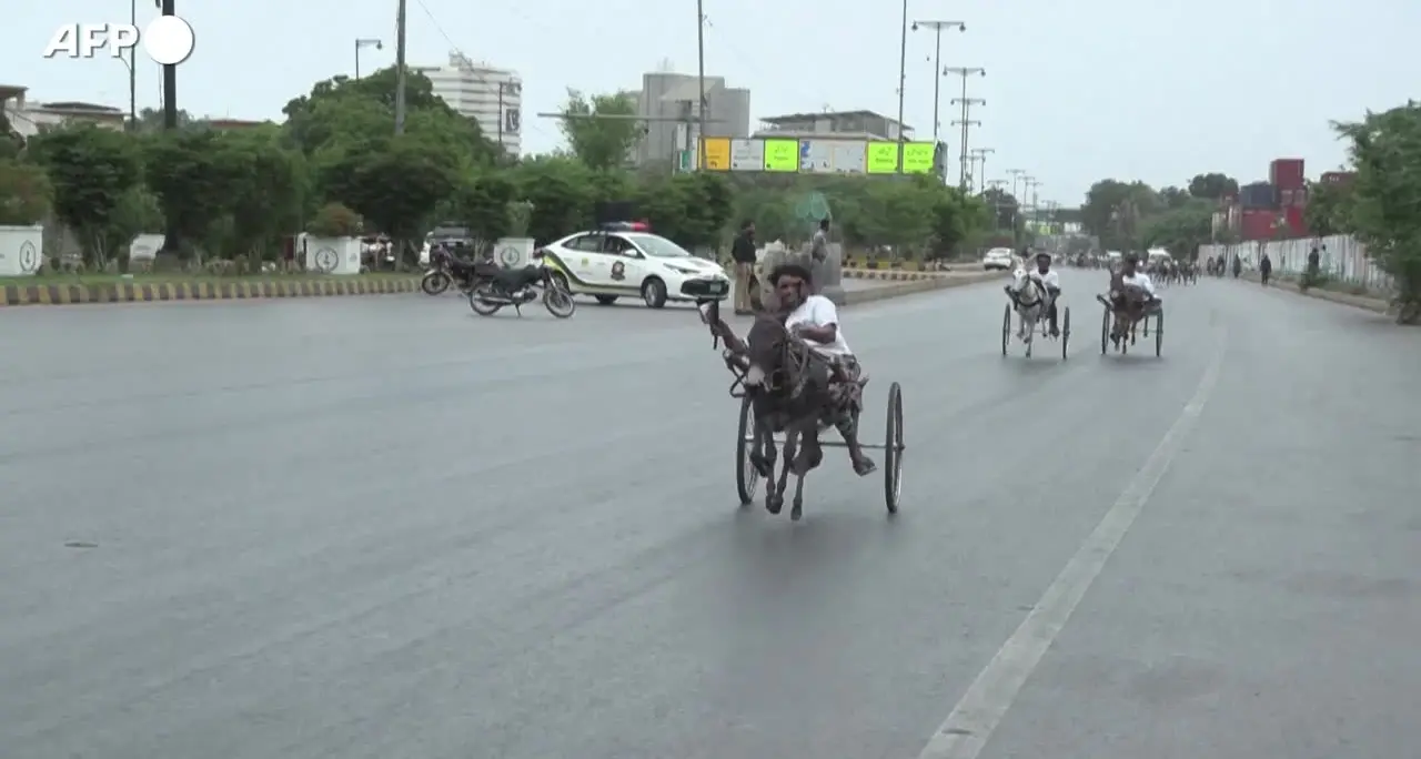 Gare di asini al galoppo per le strade di Karachi. Animalisti animali a rischi di lesioni ed esaurimento
