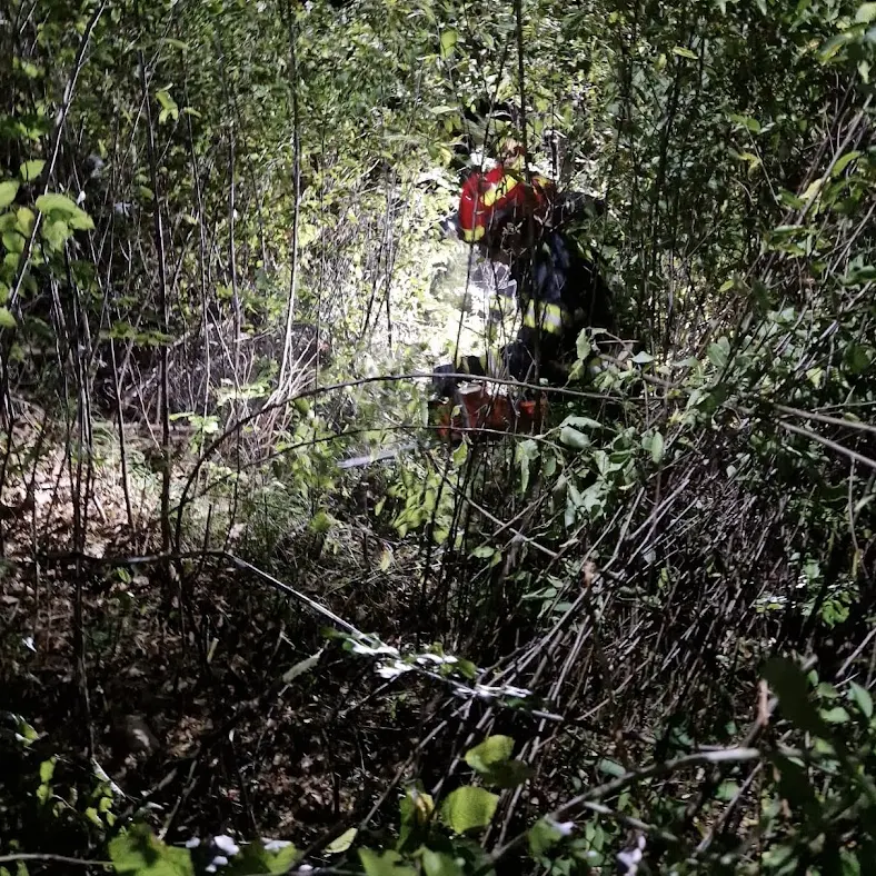 Esce a cercare il cellulare e perde l’orientamento nel bosco: ritrovato con i droni