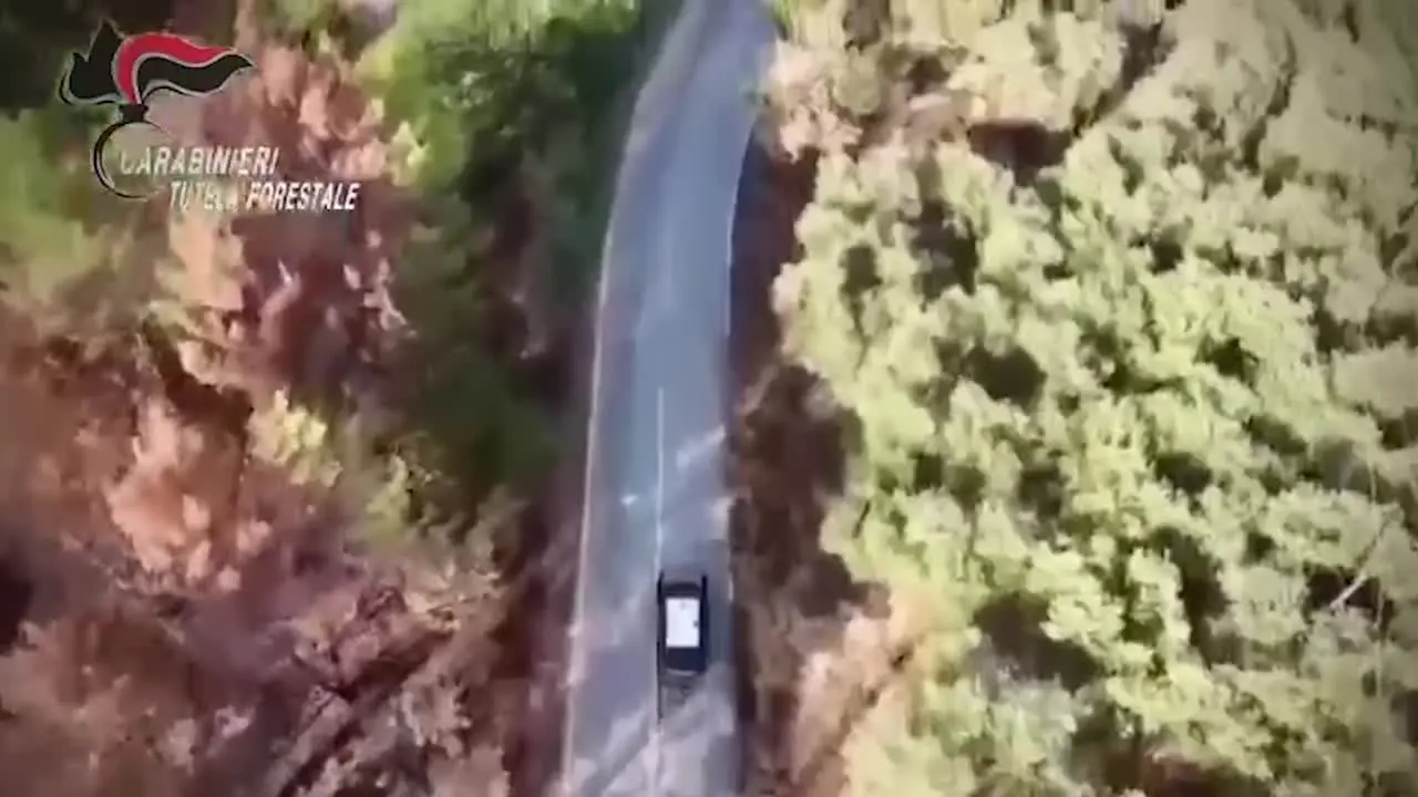 Vibo Valentia, uomo ripreso da un drone mentre appicca incendio boschivo: arrestato