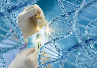 Altoatesino scomparso 35 anni fa, il Dna identifica i resti
