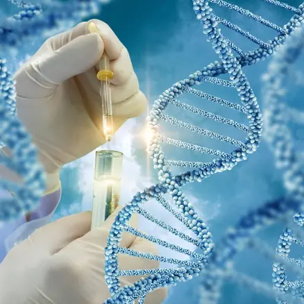 Altoatesino scomparso 35 anni fa, il Dna identifica i resti