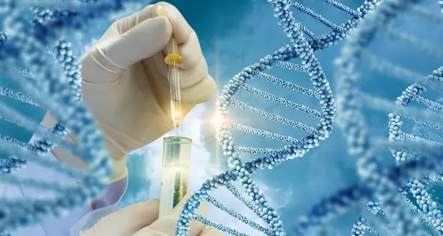 Altoatesino scomparso 35 anni fa, il Dna identifica i resti