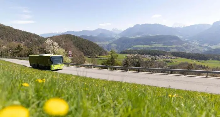Estate in Alto Adige, cresce l’utilizzo degli autobus: +24% rispetto allo scorso anno