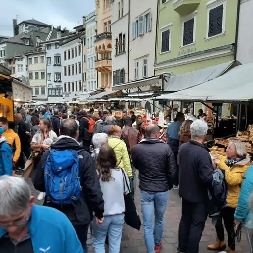 Controlli a Bolzano: stop per bar e affittacamere abusivo