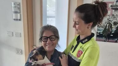Investito mentre passeggia col cane: l’animale corre via, poi il ritrovamento