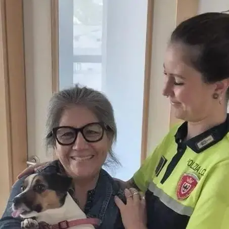 Investito mentre passeggia col cane: l’animale corre via, poi il ritrovamento