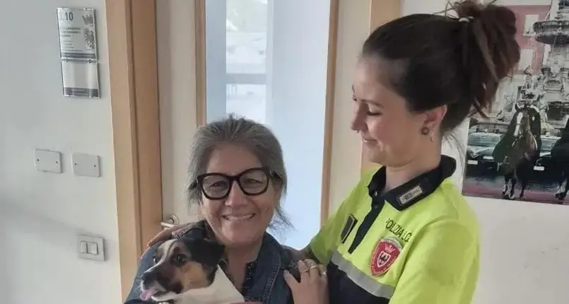 Investito mentre passeggia col cane: l’animale corre via, poi il ritrovamento