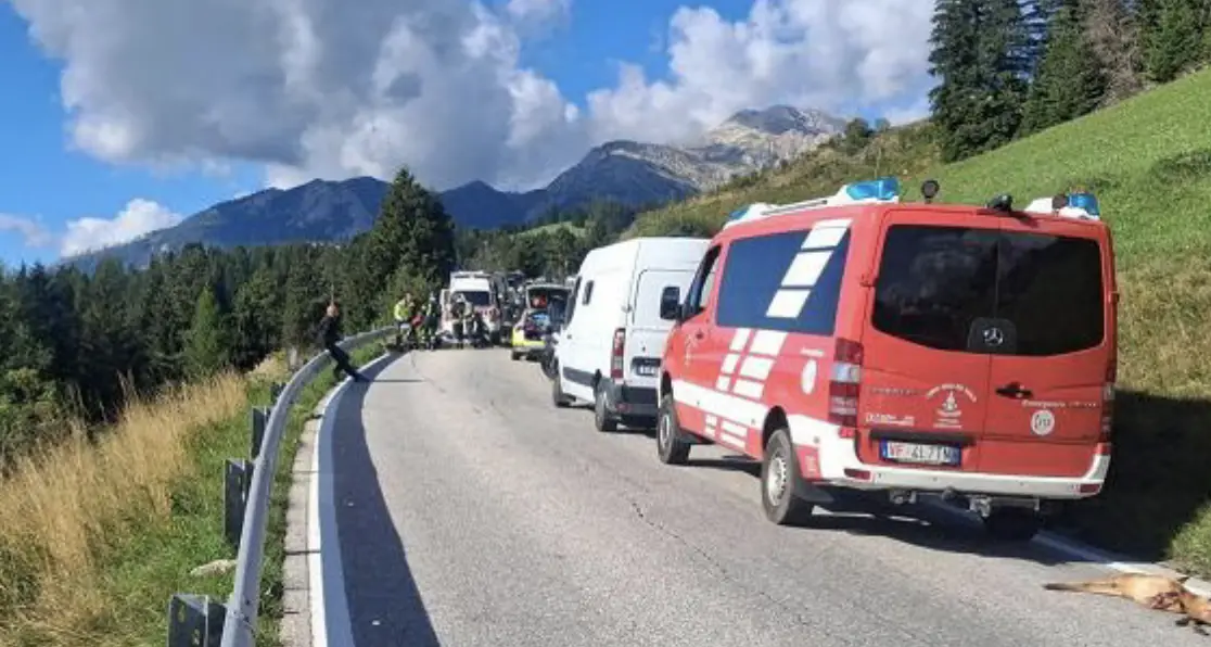 Capriolo sulla strada, motociclista di 61 anni sbalzato dalla sella