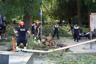 Un ramo crolla sui passanti al parco Berloffa: tre feriti