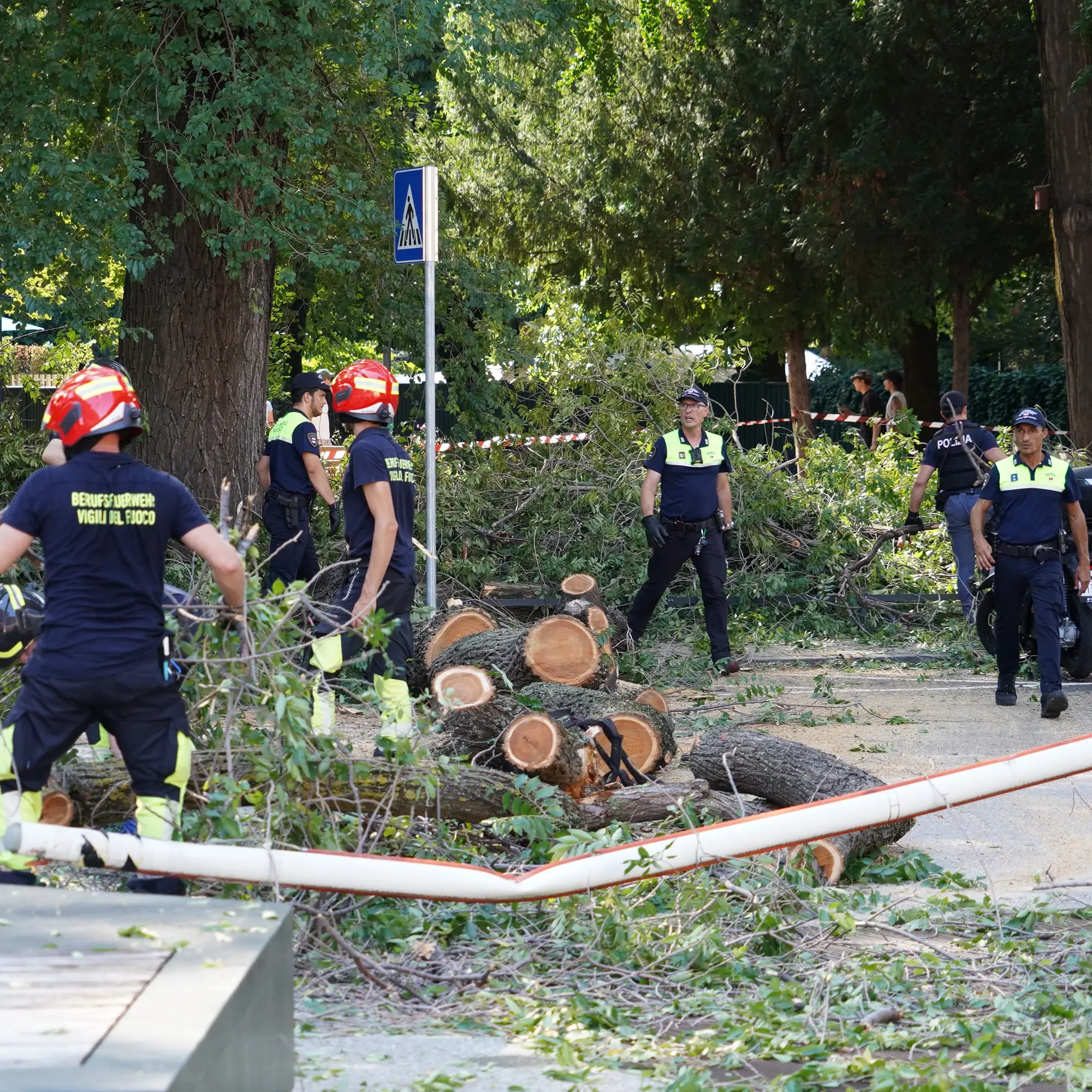 Un ramo crolla sui passanti al parco Berloffa: tre feriti