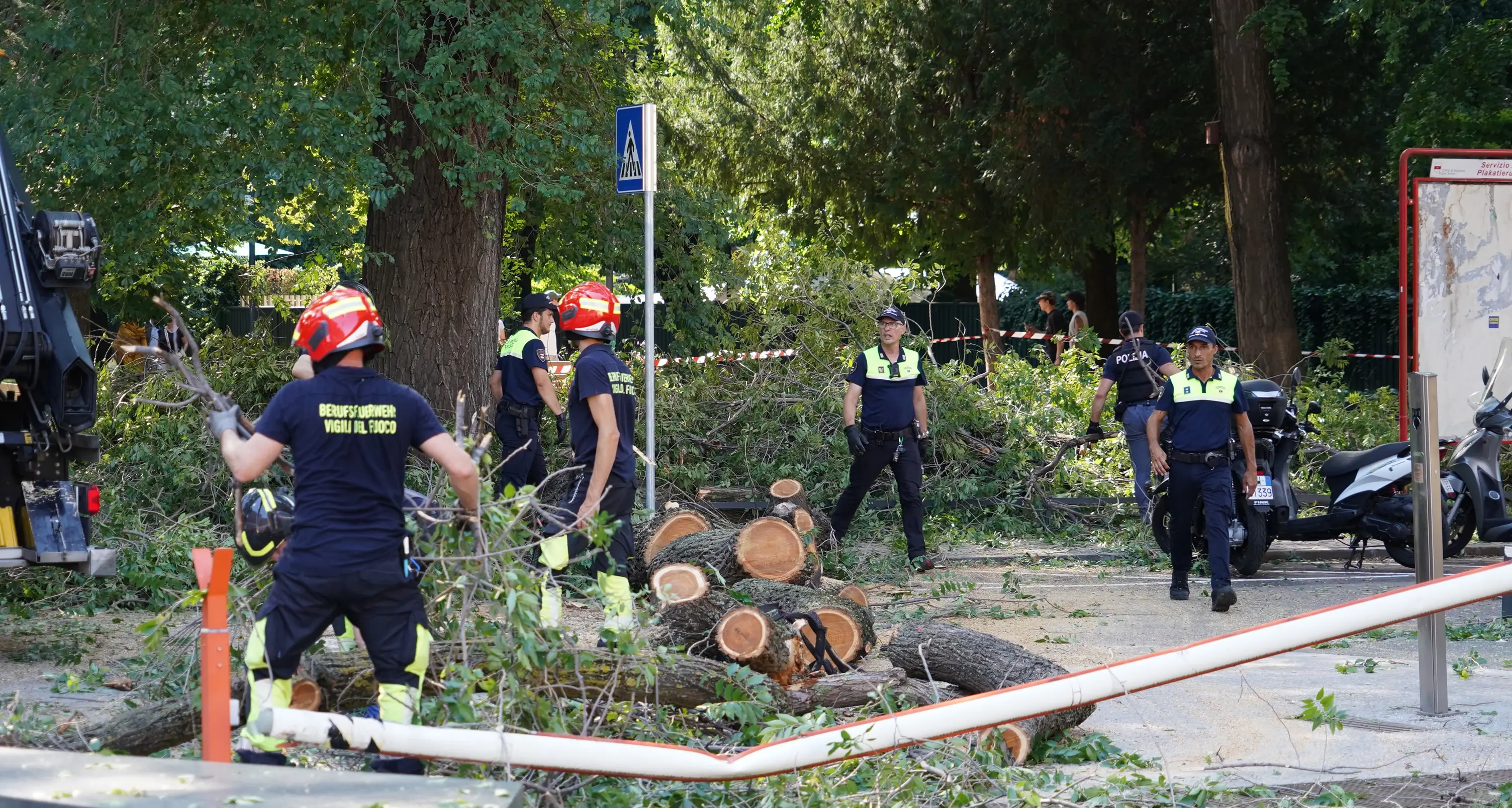 Un ramo crolla sui passanti al parco Berloffa: tre feriti
