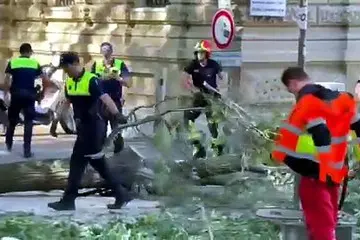 Cade un ramo, tre persone ferite