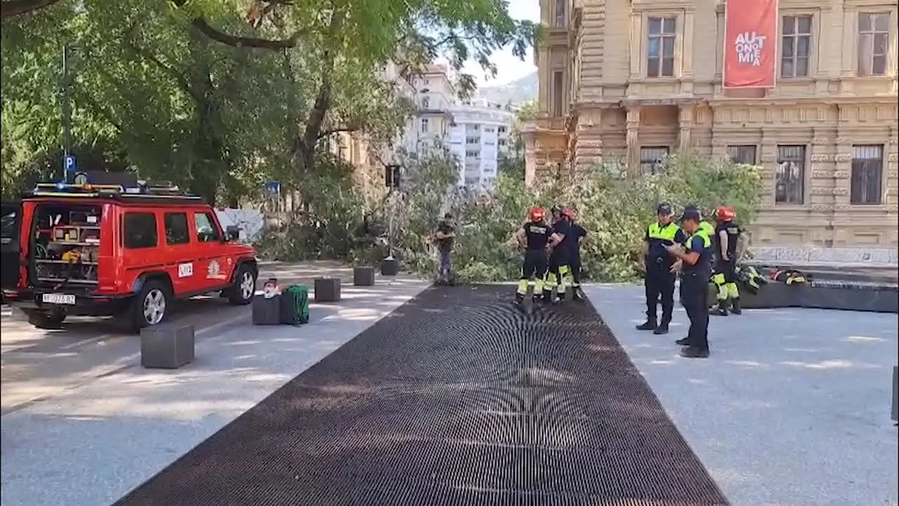 A Bolzano un ramo si stacca da un albero e travolge tre persone