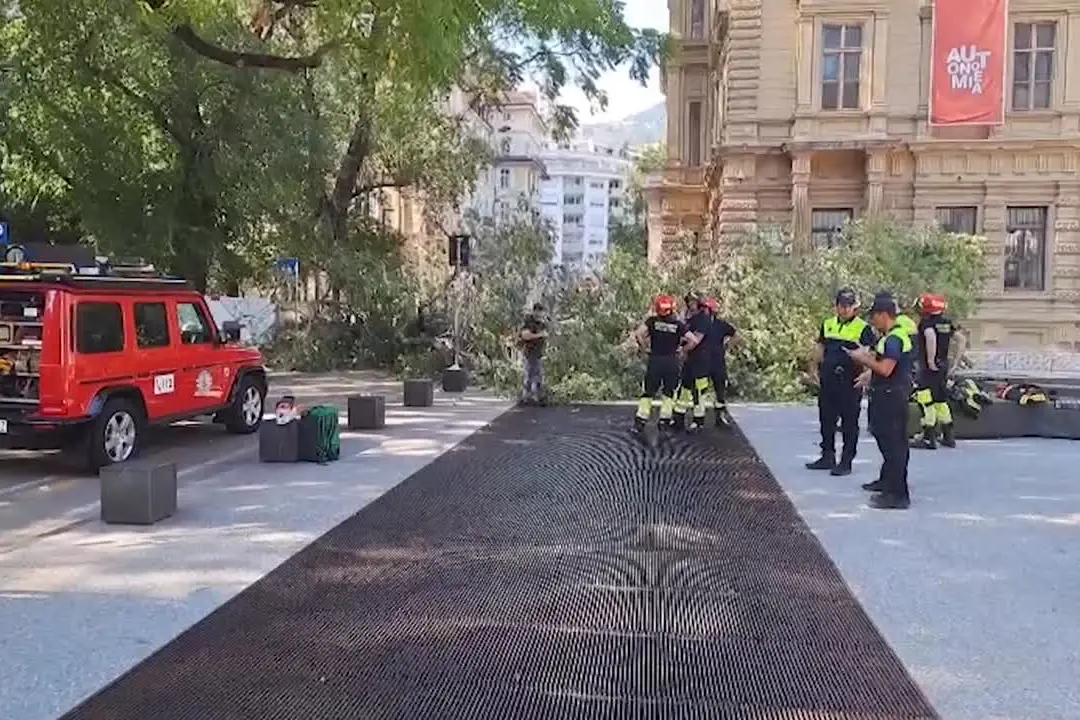 A Bolzano un ramo si stacca da un albero e travolge tre persone
