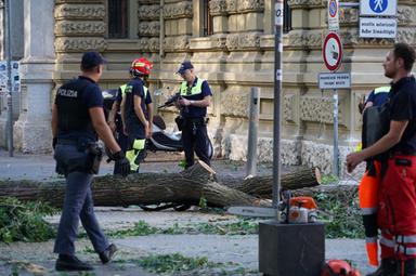 Cade un grosso ramo in strada, tre feriti