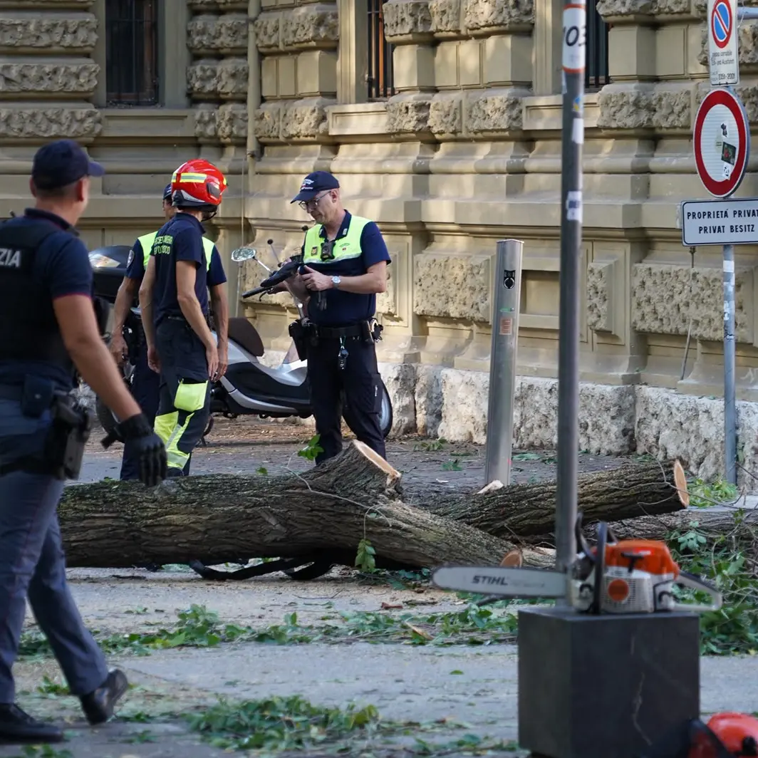 Cade un grosso ramo in strada, tre feriti