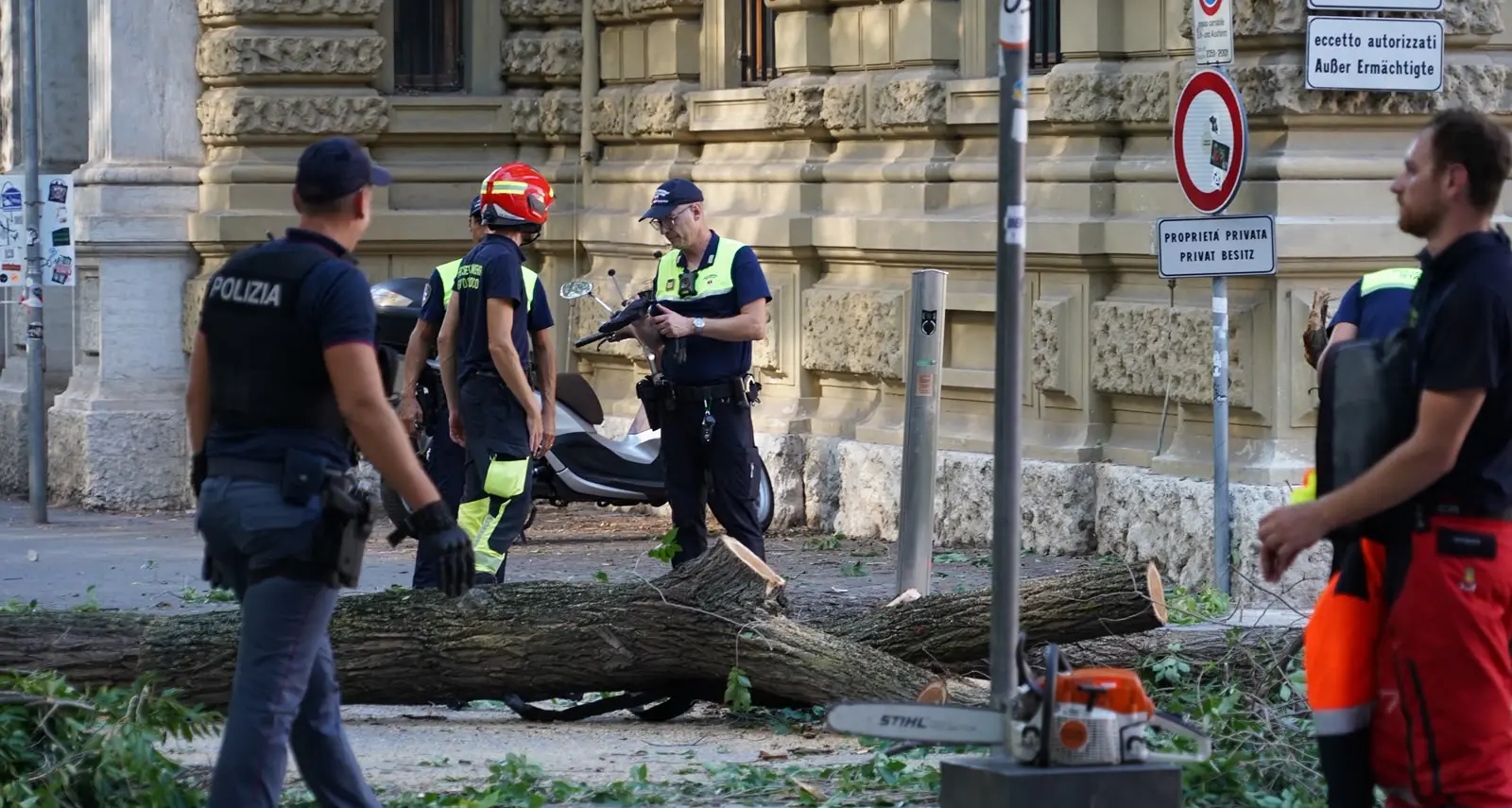 Cade un grosso ramo in strada, tre feriti