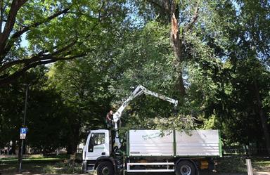 Bolzano, ramo crollato al parco Berloffa: controlli su tutti i grandi alberi