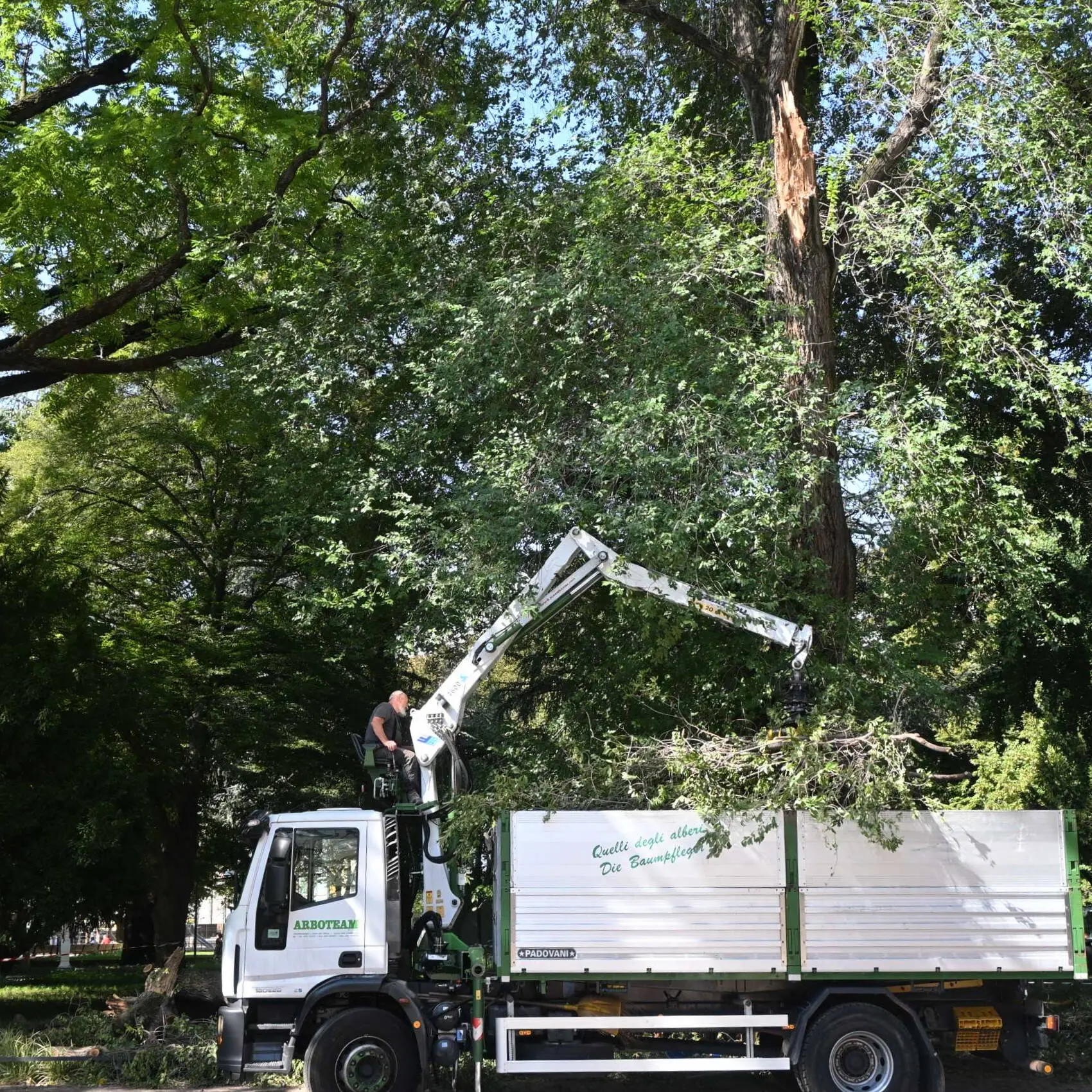 Bolzano, ramo crollato al parco Berloffa: controlli su tutti i grandi alberi