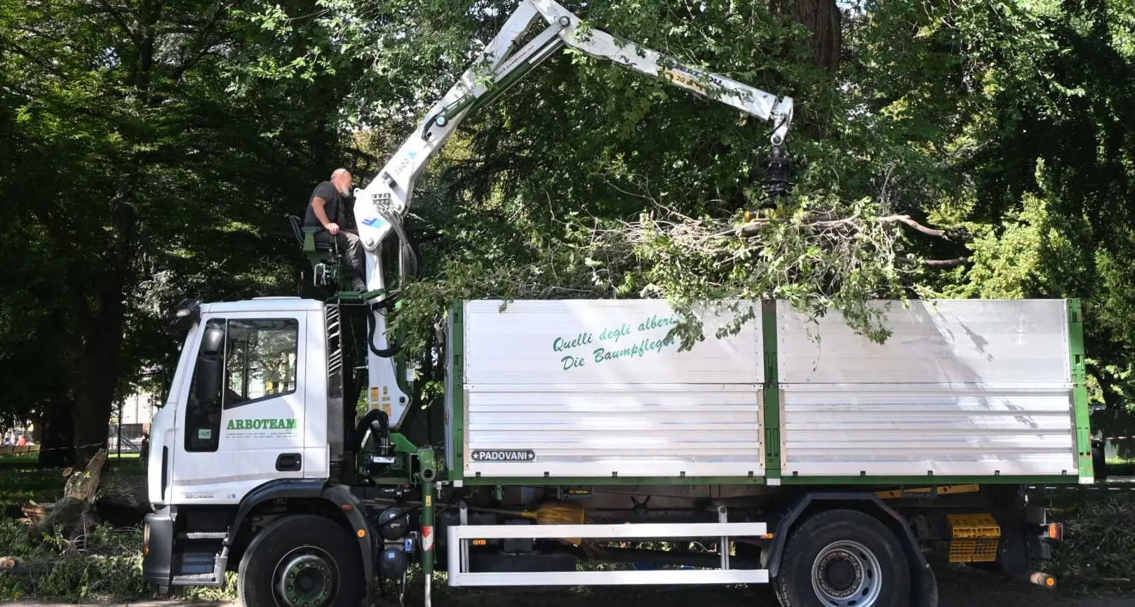Bolzano, ramo crollato al parco Berloffa: controlli su tutti i grandi alberi
