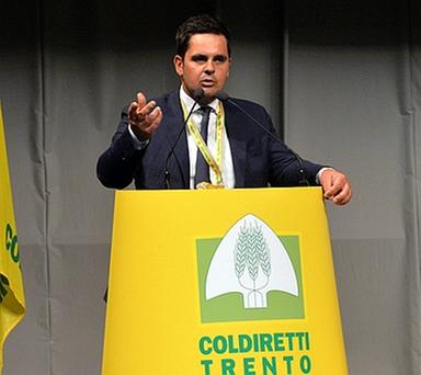 Pasta, Coldiretti: «Più controlli sul grano straniero e chiarezza sugli scaffali»