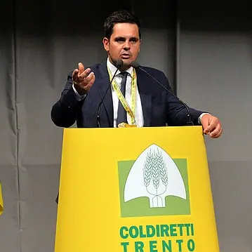 Pasta, Coldiretti: «Più controlli sul grano straniero e chiarezza sugli scaffali»