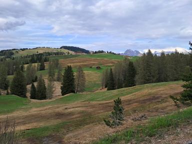 Liquami sui prati di montagna, ambientalisti contro la Provincia: «Biodiversità a rischio»