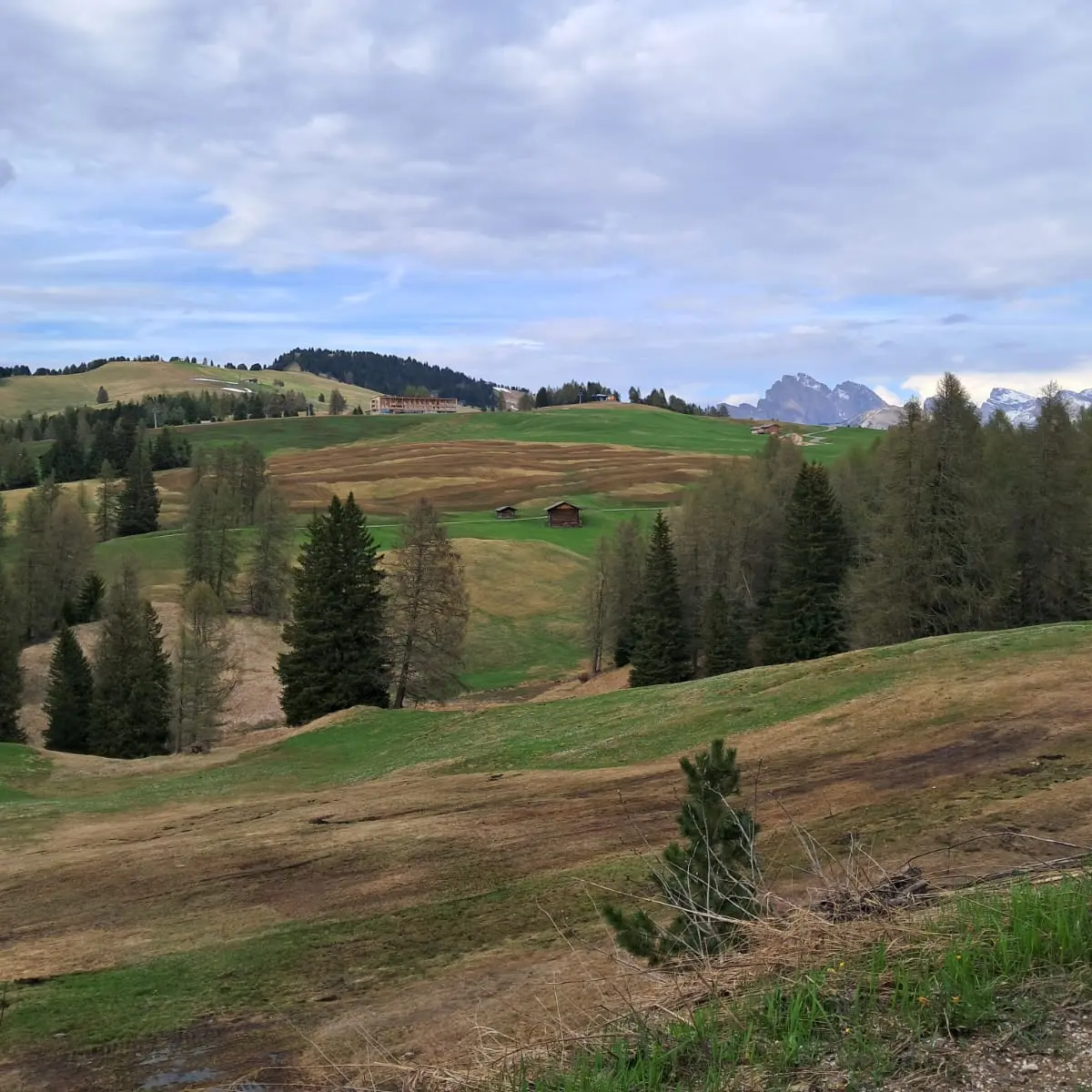 Liquami sui prati di montagna, ambientalisti contro la Provincia: «Biodiversità a rischio»